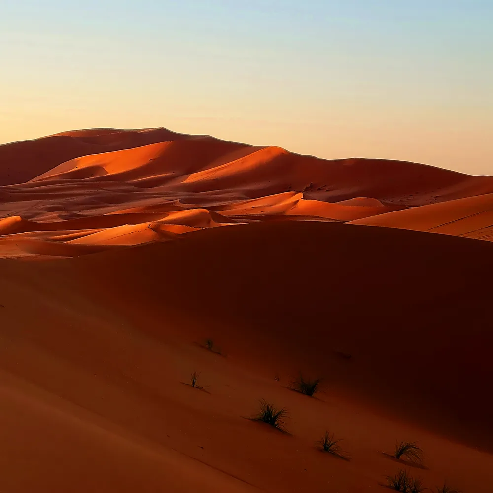 Saharan Dunes by Phone