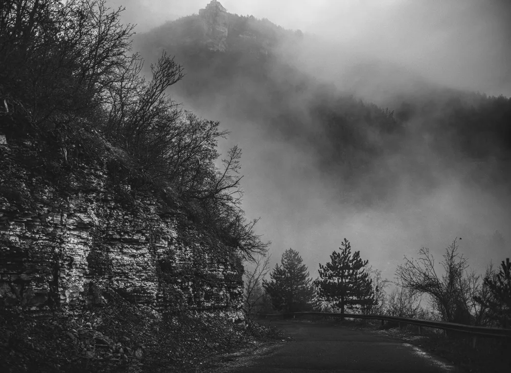 Foggy Road