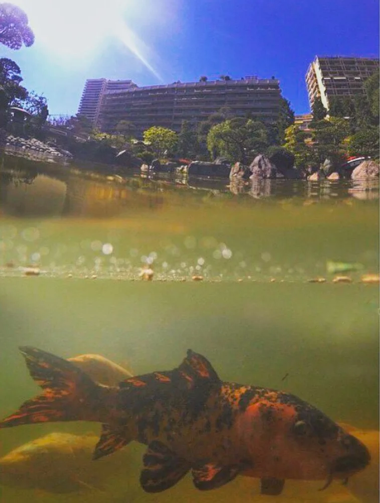 Life Beneath and Beyond