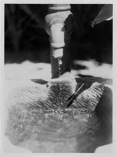 Spout