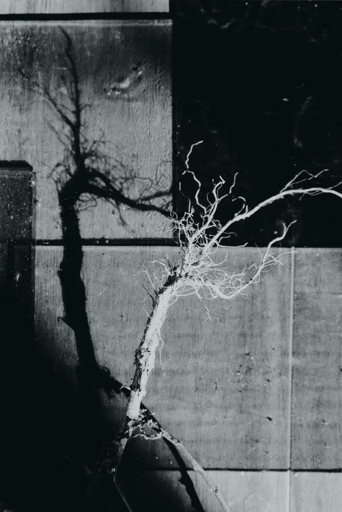 _multidimensional nature