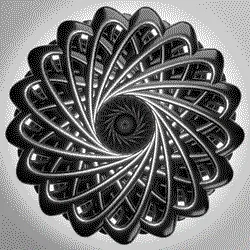 BloomTwist