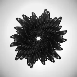 Curlium