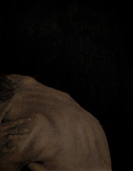 Embracing the Darkness