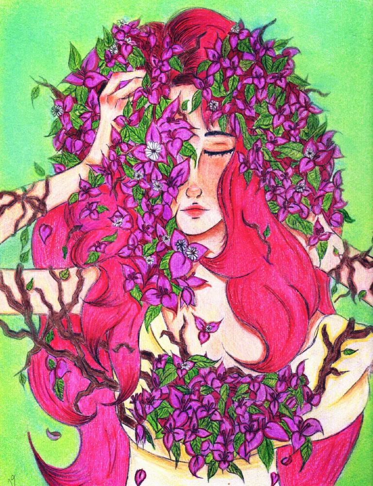 Bougainvillea