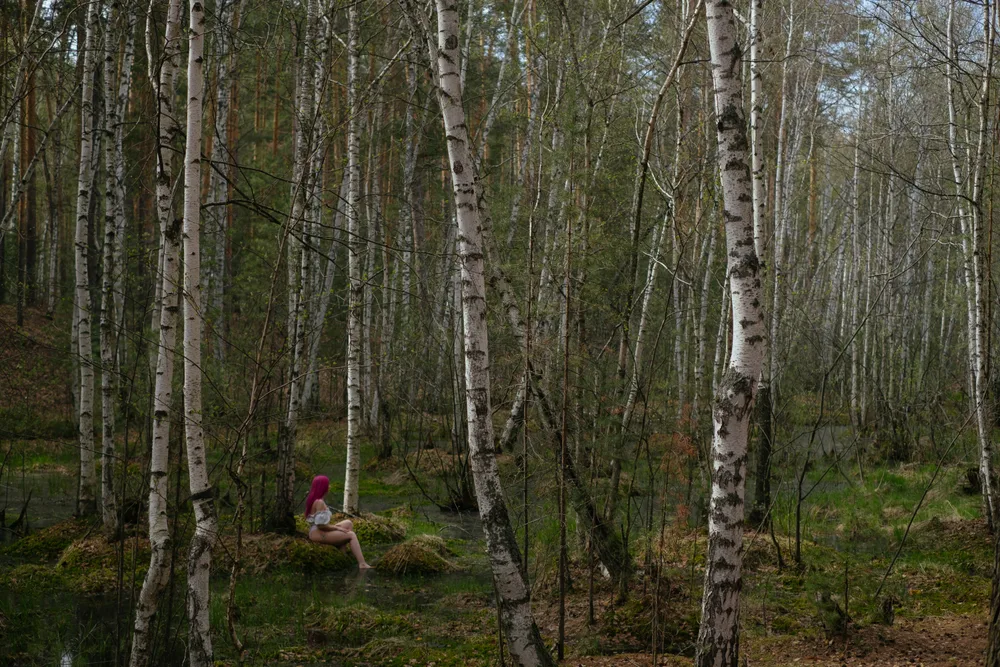 Forest Silence