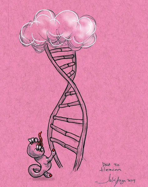 DNA to heaven