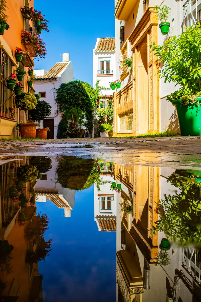 Puddle of Reflection