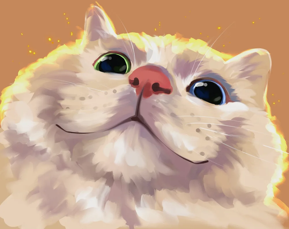 Lily VIPFUNNY Cat