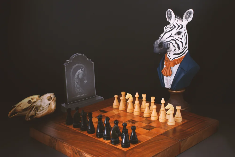 Bahram The Zebra