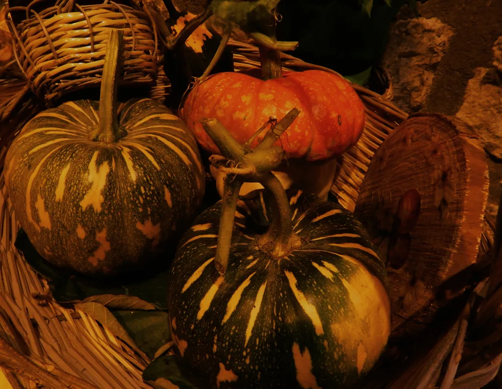 Seasonal fruits