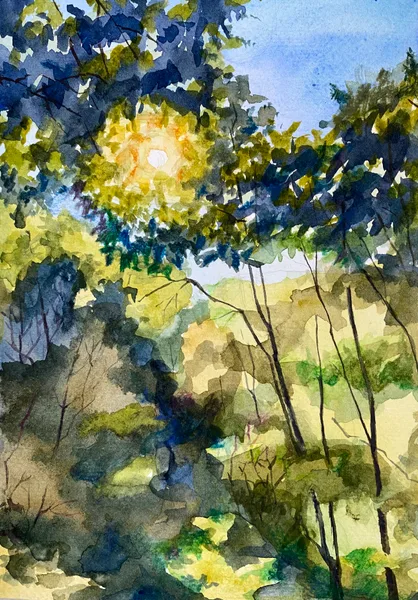 Sun in the forest