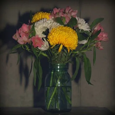 _temporal bloom