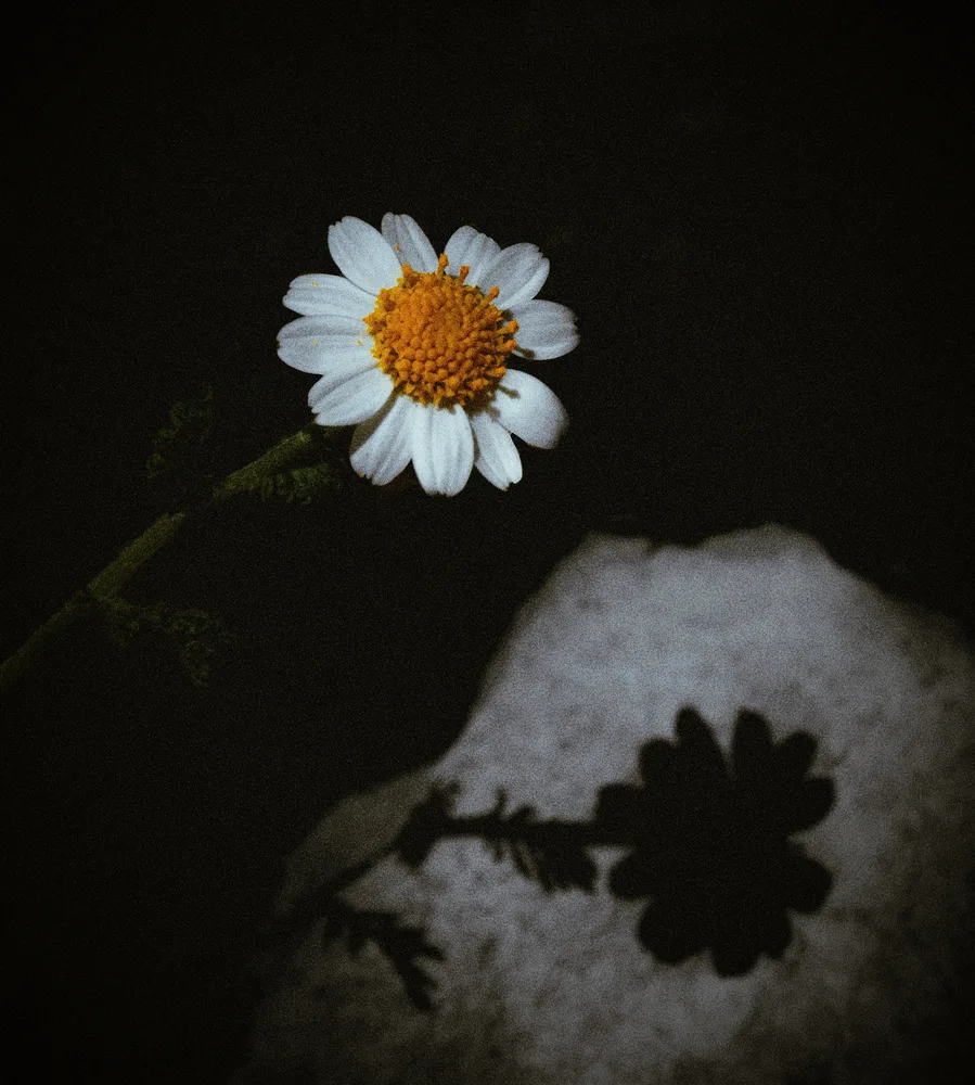Eternal Bliss