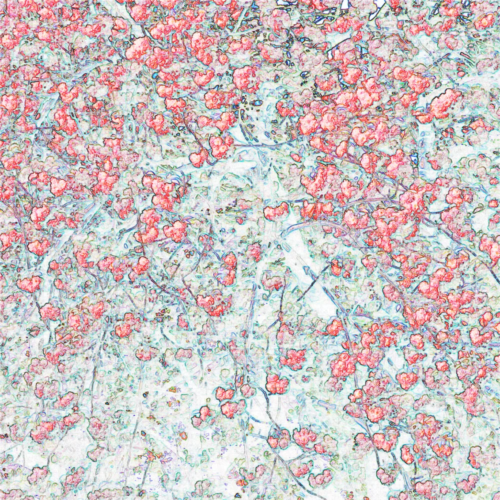 Under the Cherry Tree