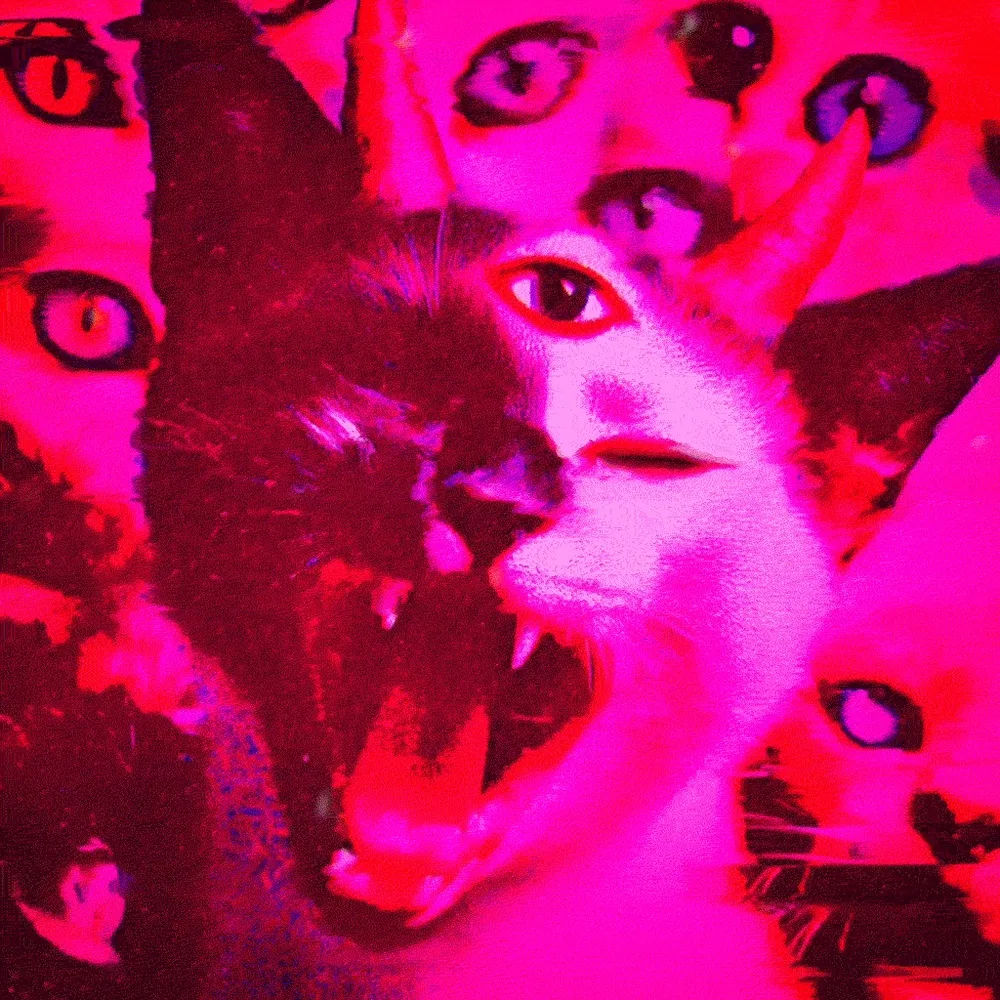 MEOW