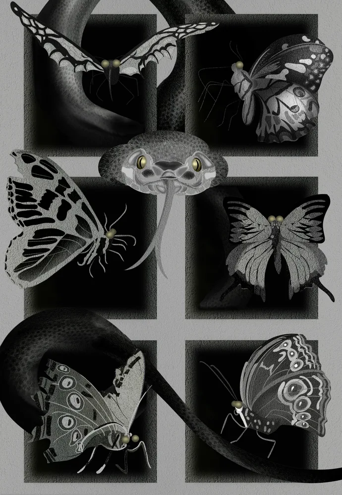 Medusa’s Butterfly Collection