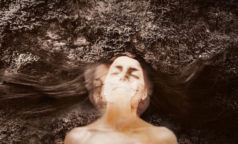 Fragments of a Dream