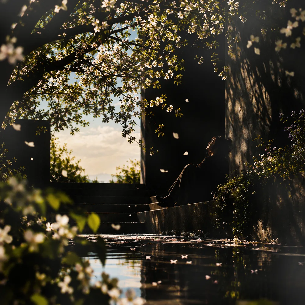 Where Spring Finds Me