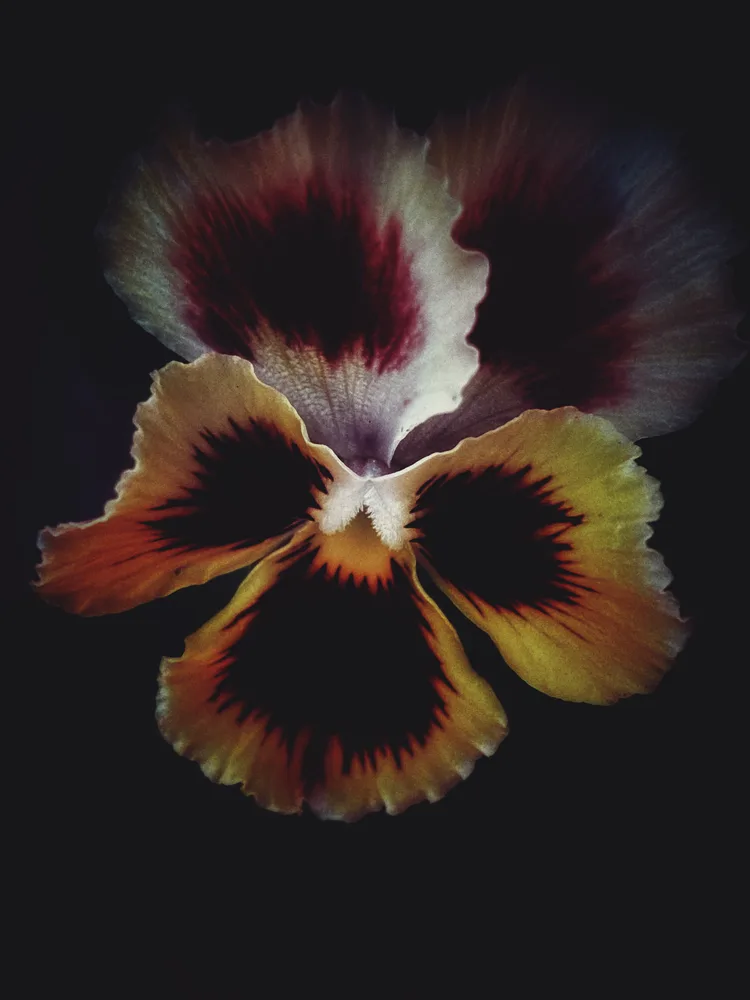 Agate