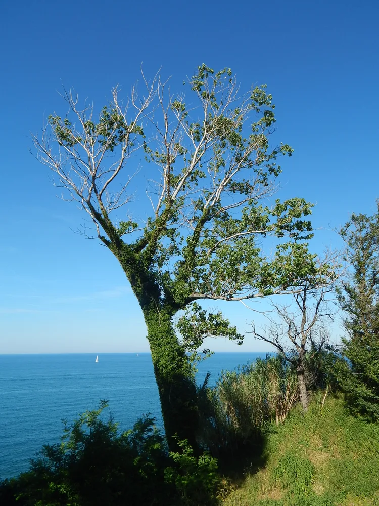 Hanging on the cliff