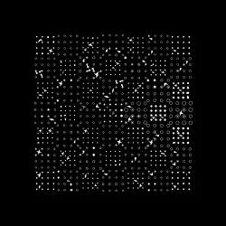 Antiphase