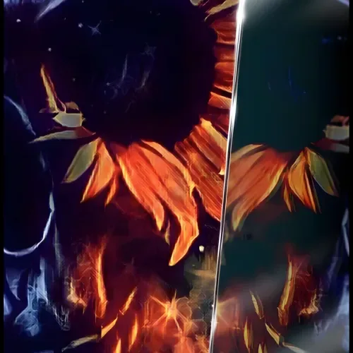 Shades of Reflection