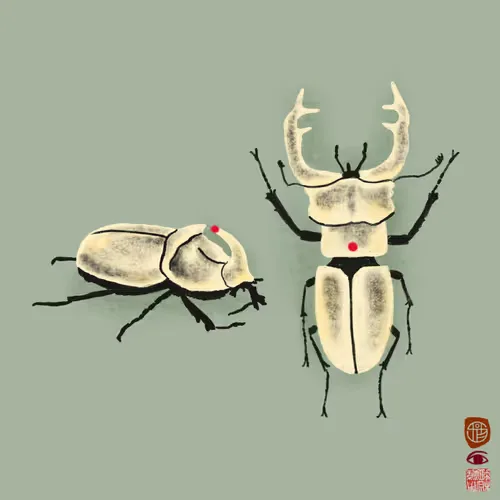 stagbeetle