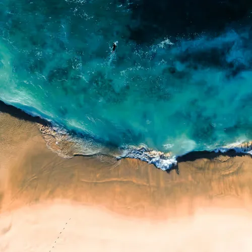 Bronte Beach