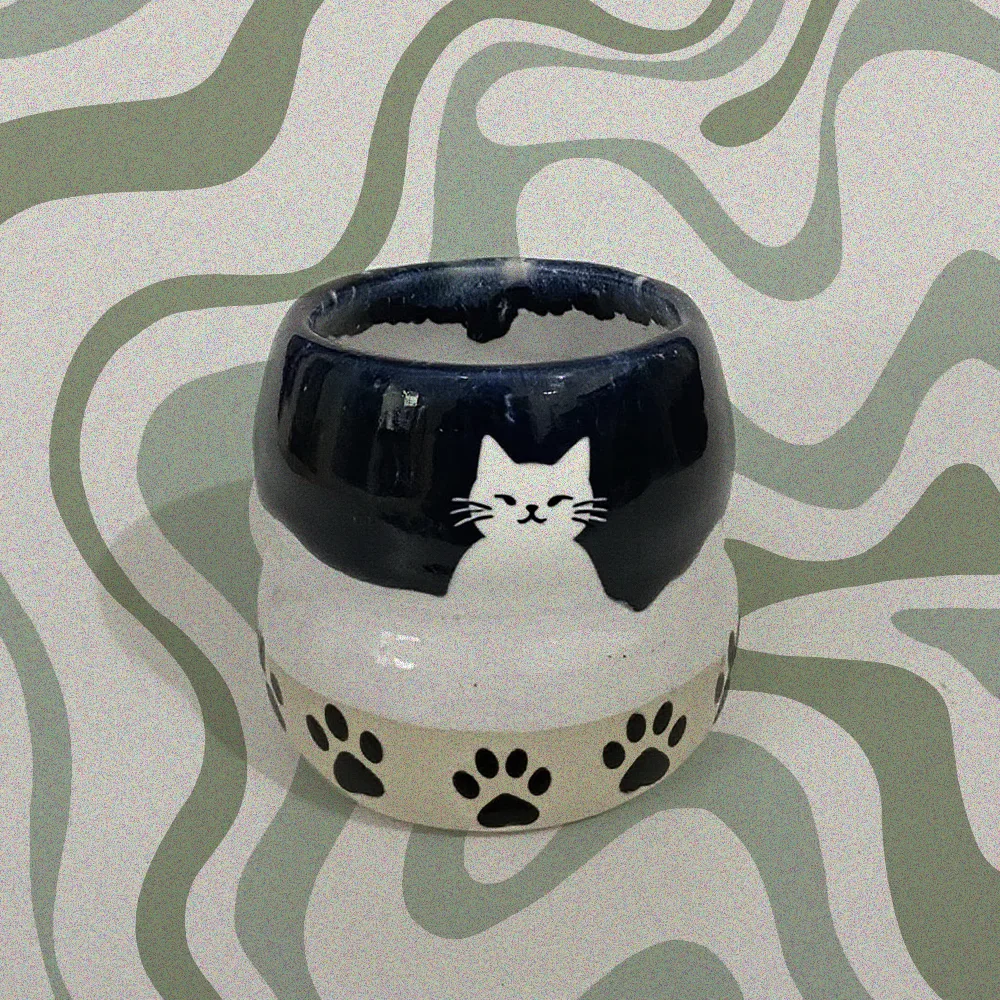 Purrfect Sips