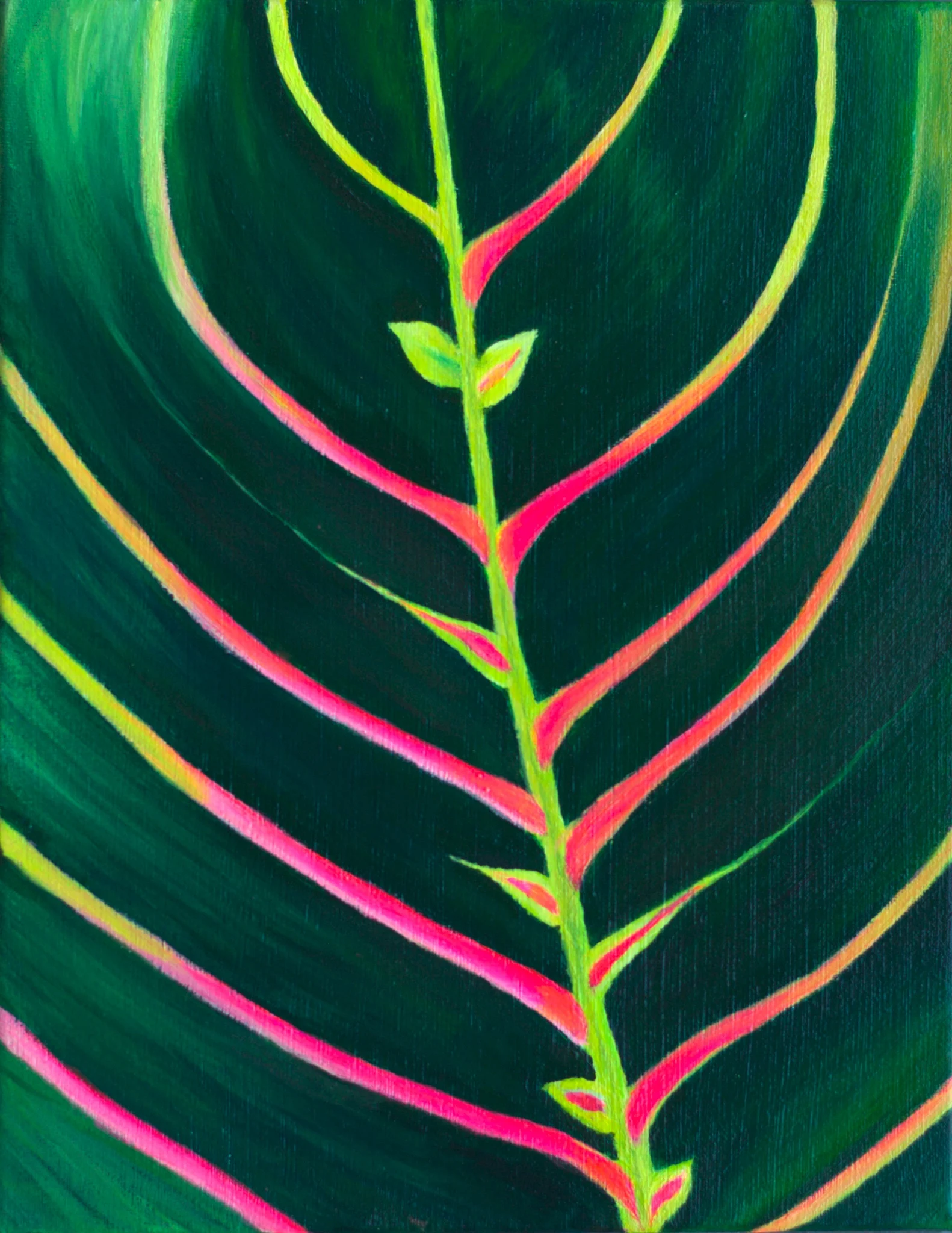 Growth Patterns