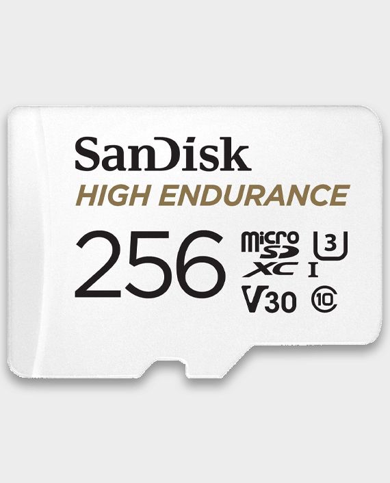 Sandisk 256gb high endurance 1