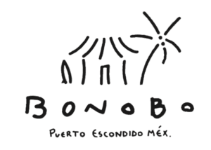 Villa Bonobo logo, Puerto Escondido Mexico