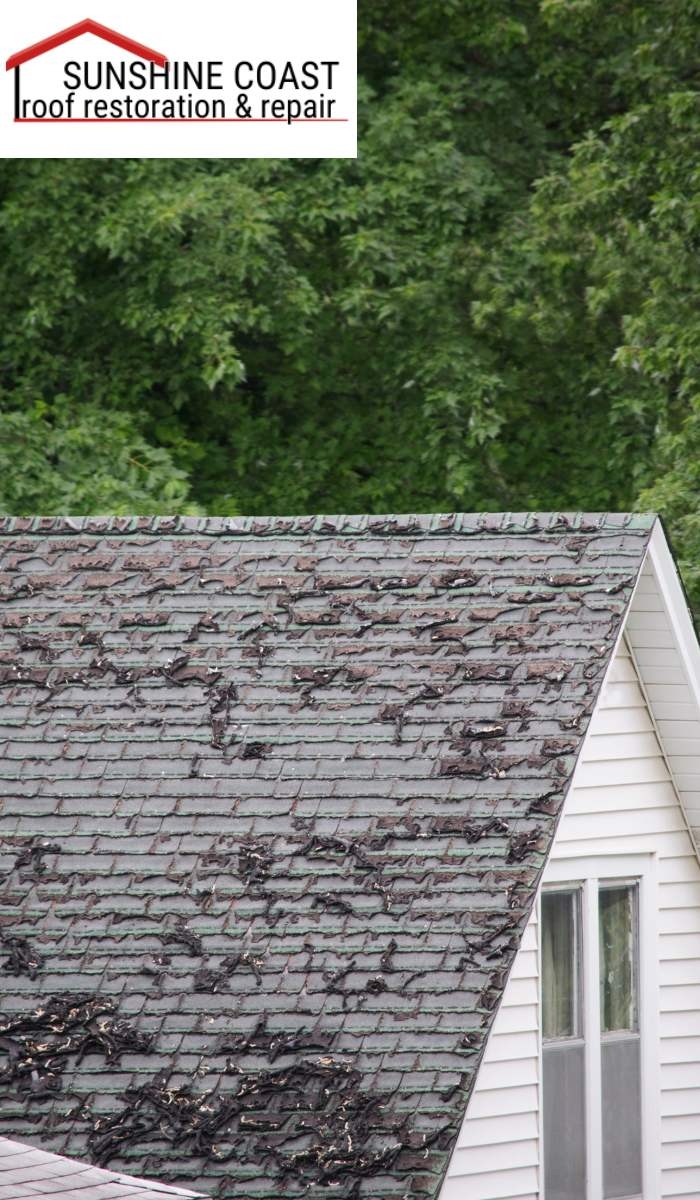 How can I prevent roof damage in the future?