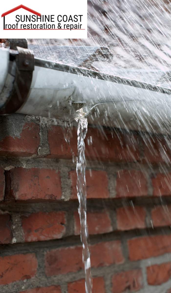 What are the signs of mold or algae on my roof?