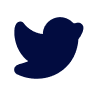 twitter icon