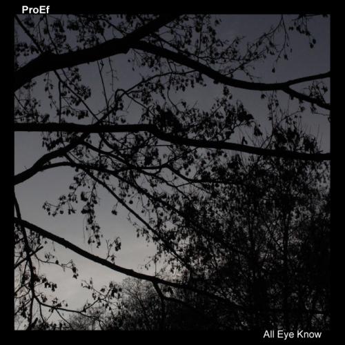 Prof - All Eye Know EP & Videos