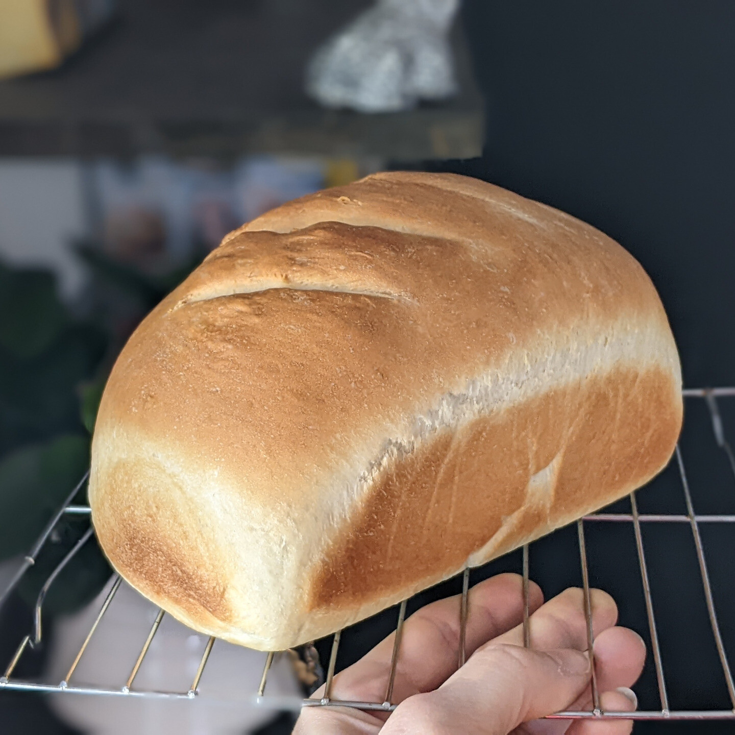 A loaf of freshly baked bread on a cooling rack