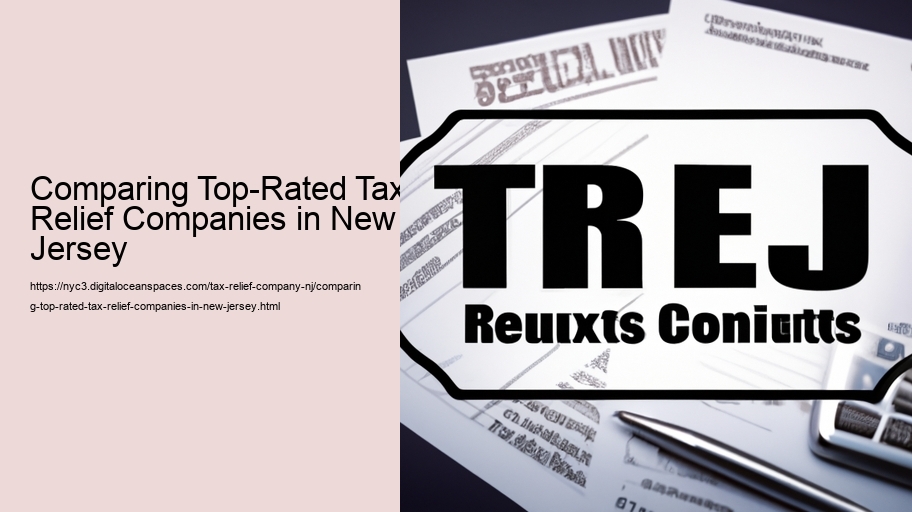 Comparing Top-Rated Tax Relief Companies in New Jersey