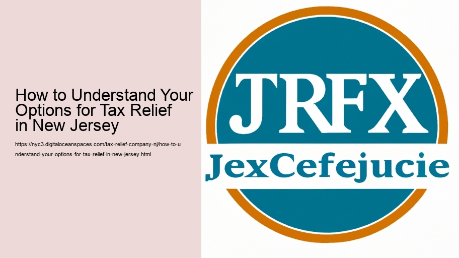 How to Understand Your Options for Tax Relief in New Jersey