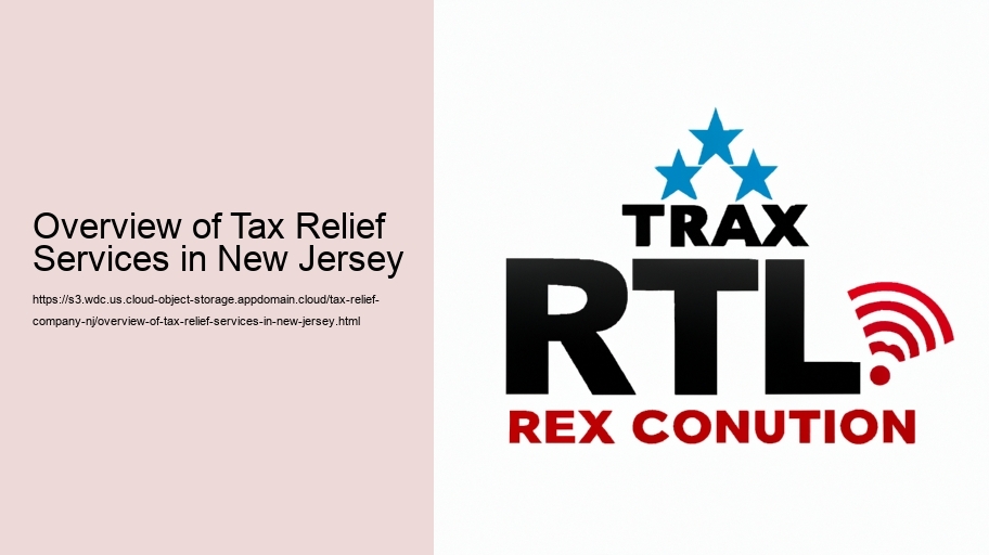 Overview of Tax Relief Services in New Jersey