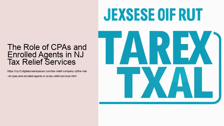 The Role of CPAs and Enrolled Agents in NJ Tax Relief Services 