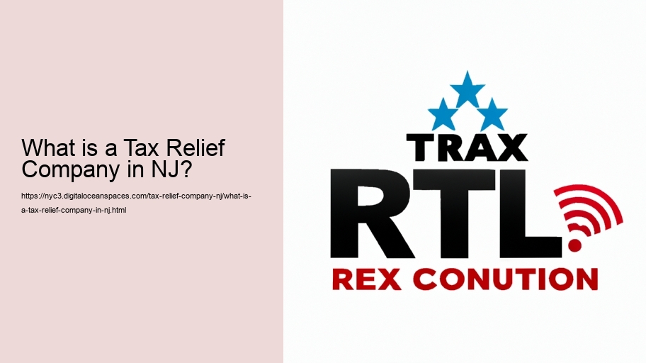 What is a Tax Relief Company in NJ?