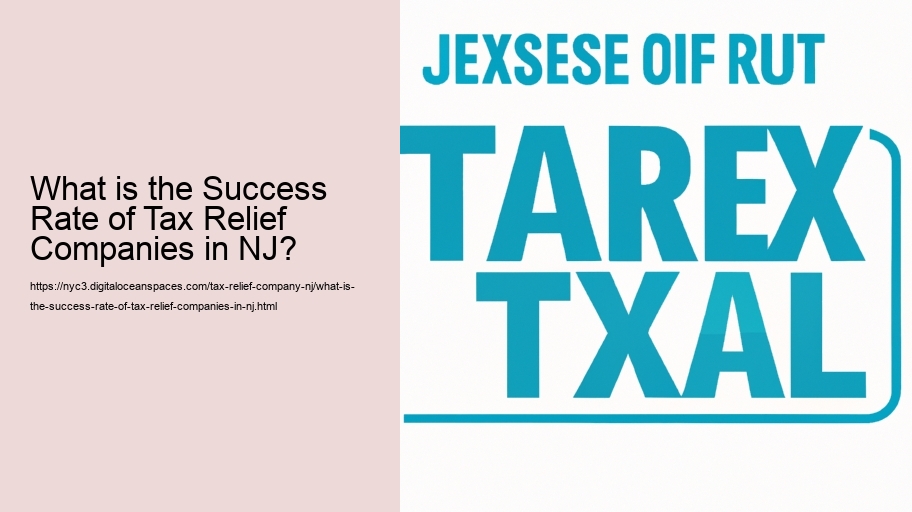 What is the Success Rate of Tax Relief Companies in NJ?