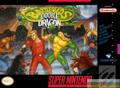 Battletoads & Double Dragon