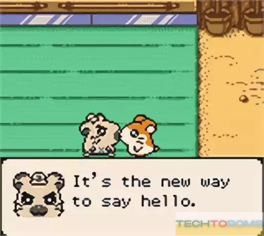 Hamtaro – Ham-Hams Unite!_1