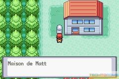 Pokemon Vert Feuille_1