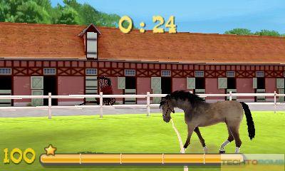My Riding Stables 3D: Jumping for the Team_1