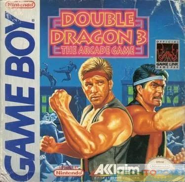 Double Dragon 3