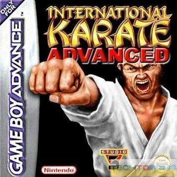 Internationaal Karate Gevorderd